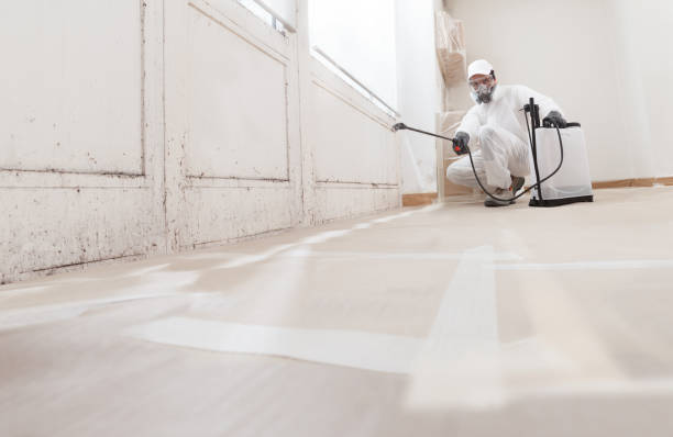 24/7 Emergency Mold Removal experts in Everett, PA